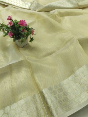 Banarasi Tissue Dupatta in  Doller Border Design